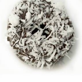 Chocolate Coconut